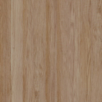 Interiérový obklad Vilo Motivo Classic, PD250, Natural Wood